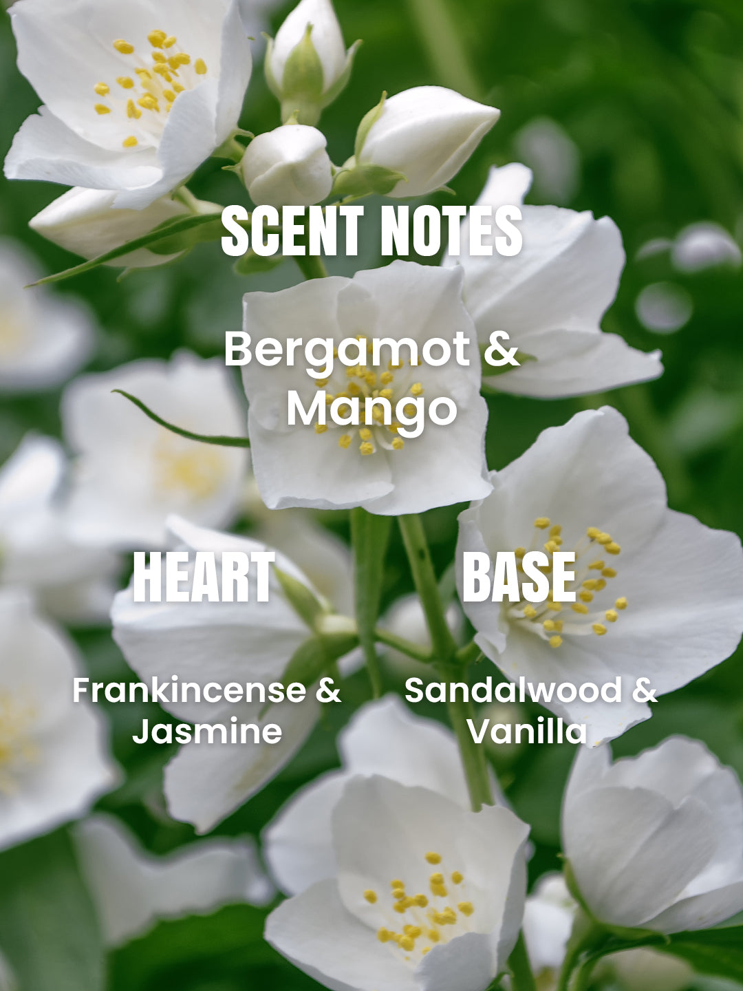 Fleur de L’Amour Body Mist