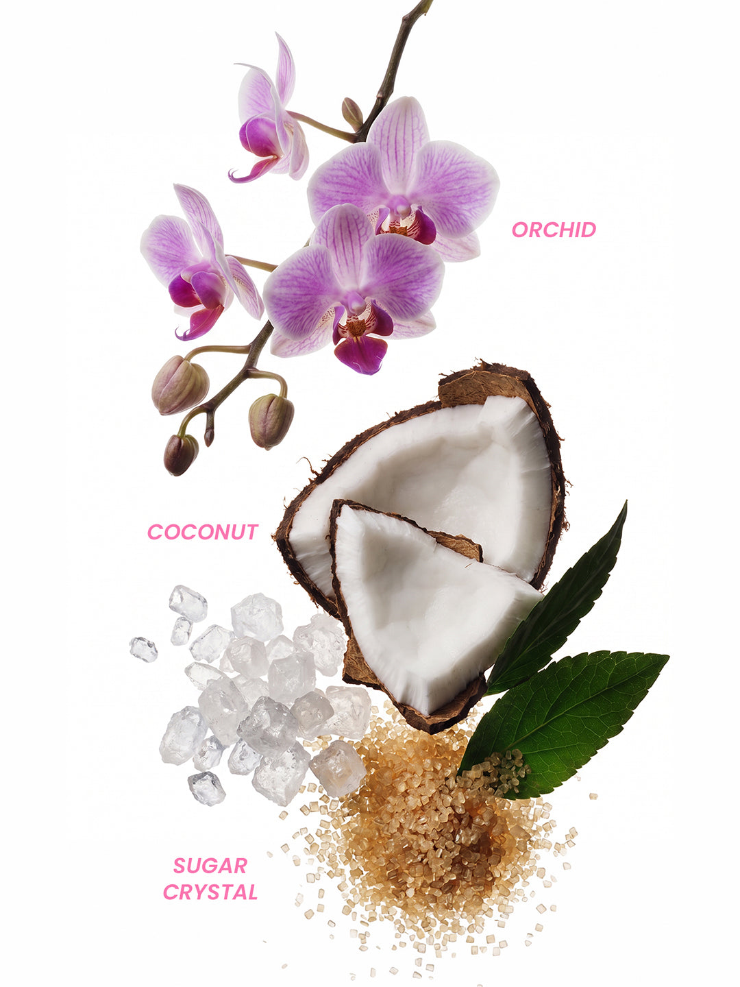 Coconut Kiss Perfume