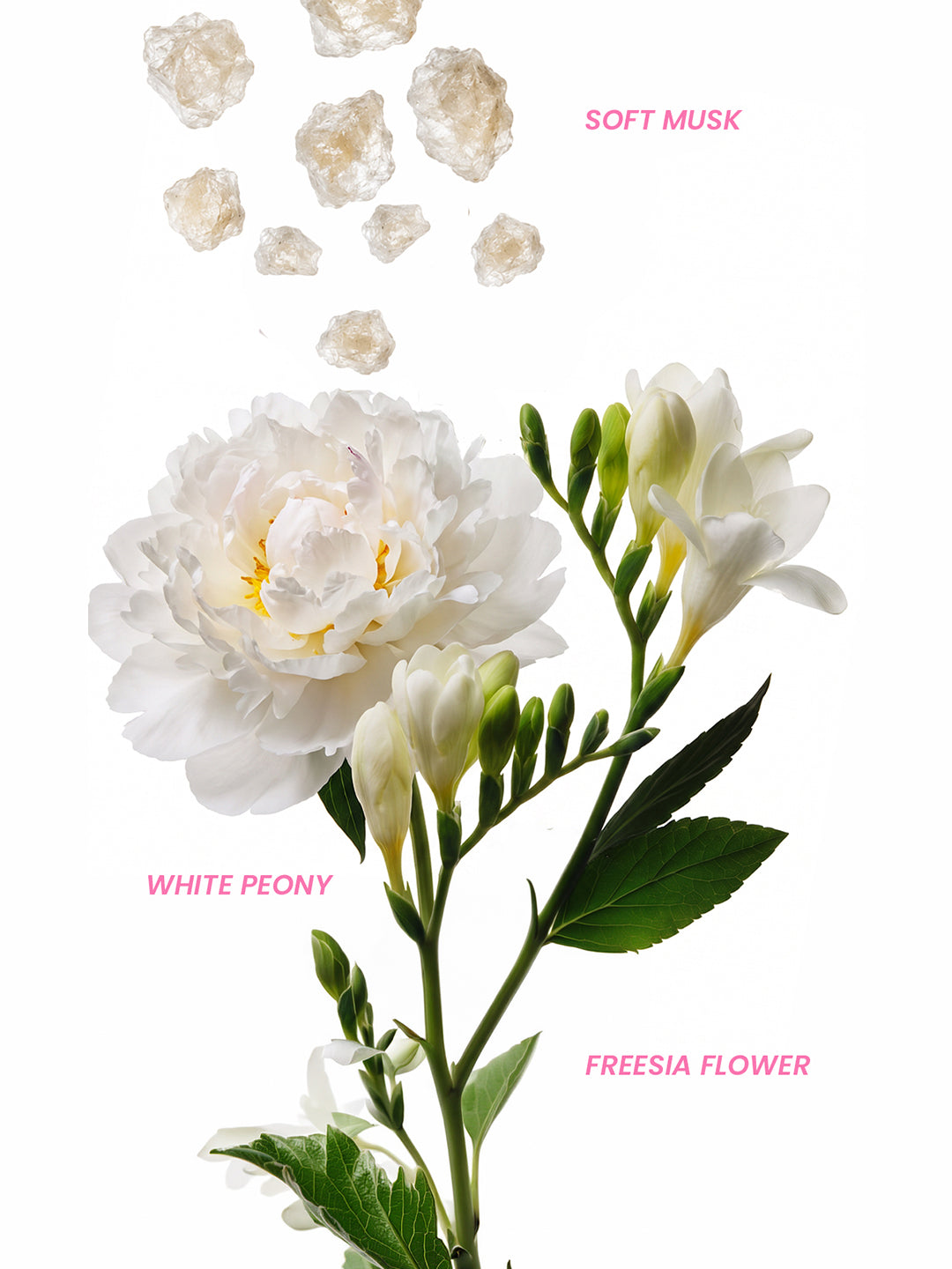 Musk Mood Perfume